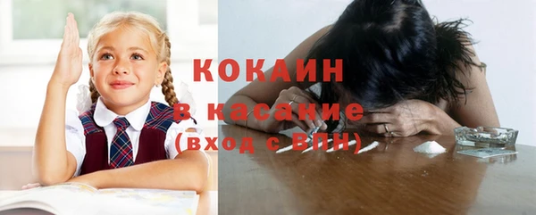 стаф Абинск