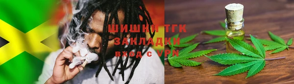 ГАЛЛЮЦИНОГЕННЫЕ ГРИБЫ Покачи