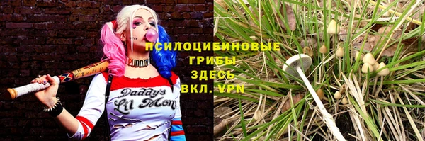 ГАЛЛЮЦИНОГЕННЫЕ ГРИБЫ Покачи