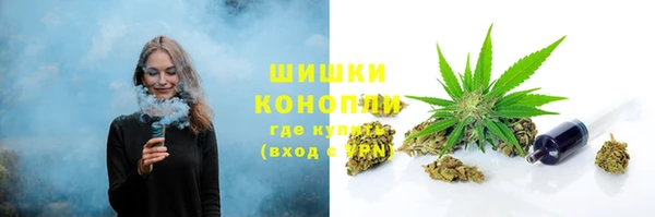 сатива Абаза