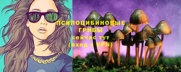 сатива Абаза