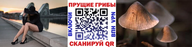 нарко площадка Telegram  Ишимбай  Псилоцибиновые грибы Magic Shrooms  что такое  